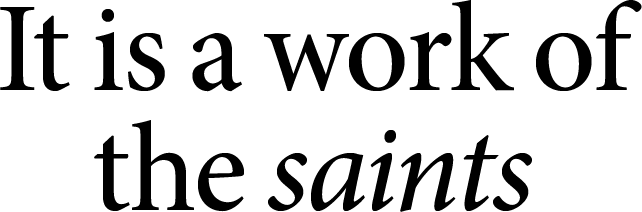 BCS_Mighty Mites_Email campaign__HEAD 2